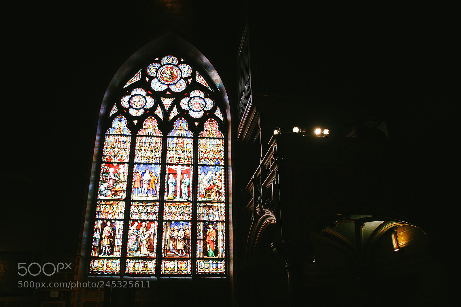Canon EOS 600D (Rebel EOS T3i / EOS Kiss X5) sample photo. Beauty in stillness photography
