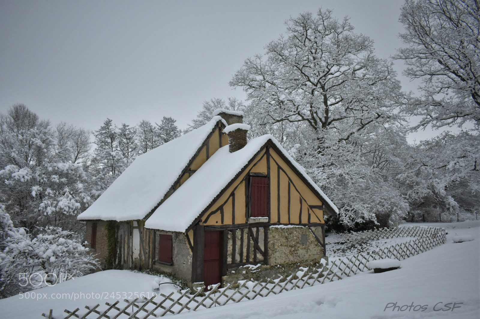 Nikon D7200 sample photo. Untitled photography