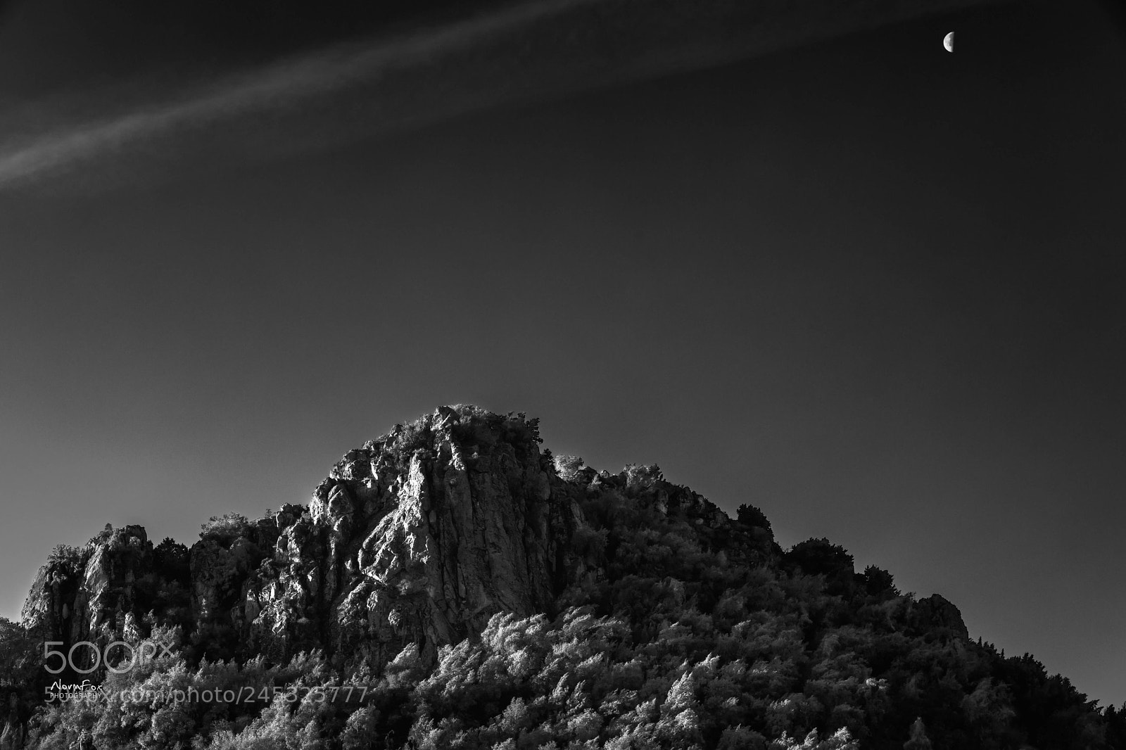 Canon EOS 6D Mark II sample photo. Half moon madness photography