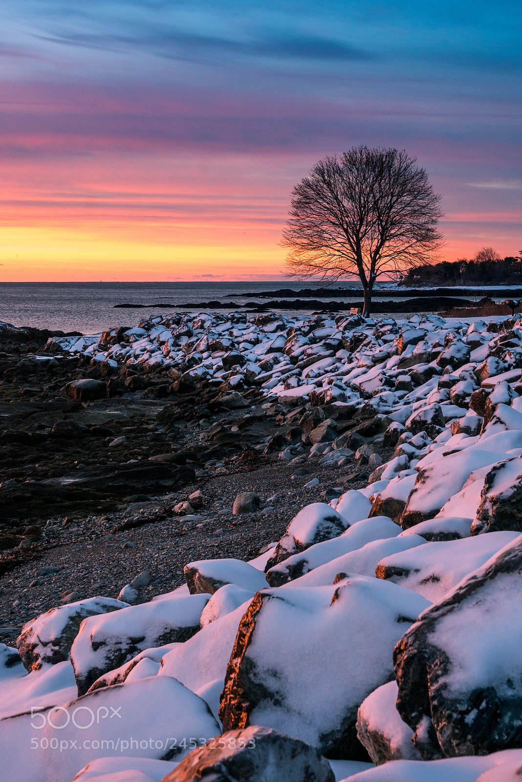 Sony a7R II sample photo. Christmas sunrise at home photography