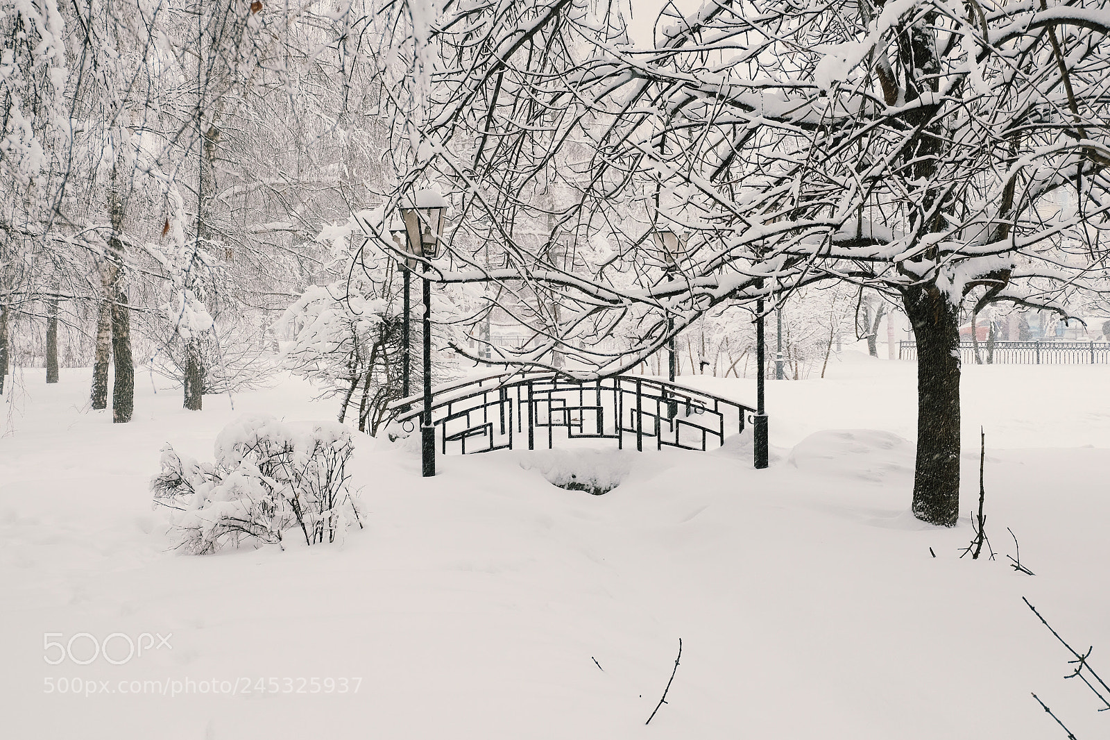Fujifilm X-T10 sample photo. Snow-covered #2 photography