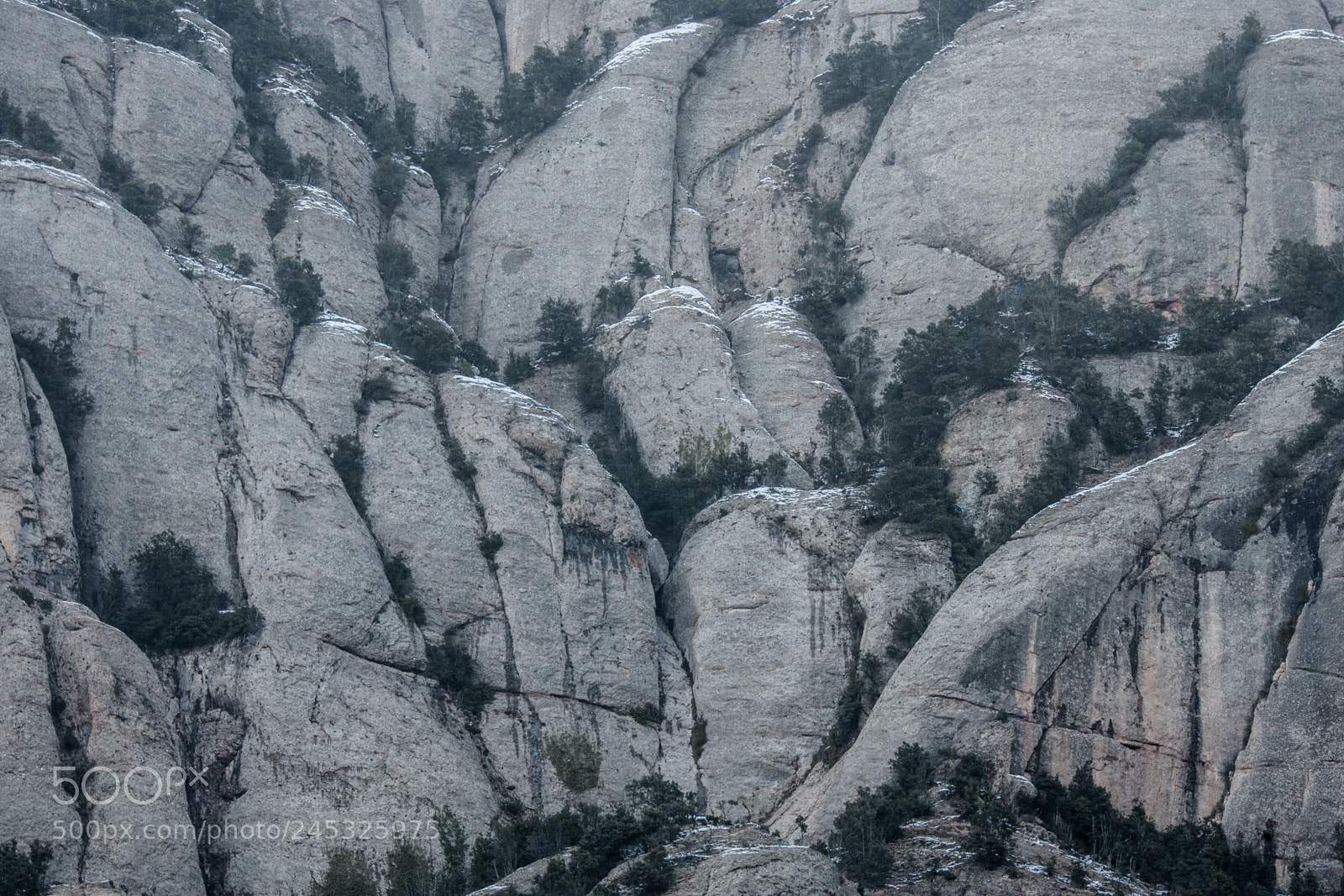 Canon EOS-1Ds Mark II sample photo. Montserrat & snow iii photography