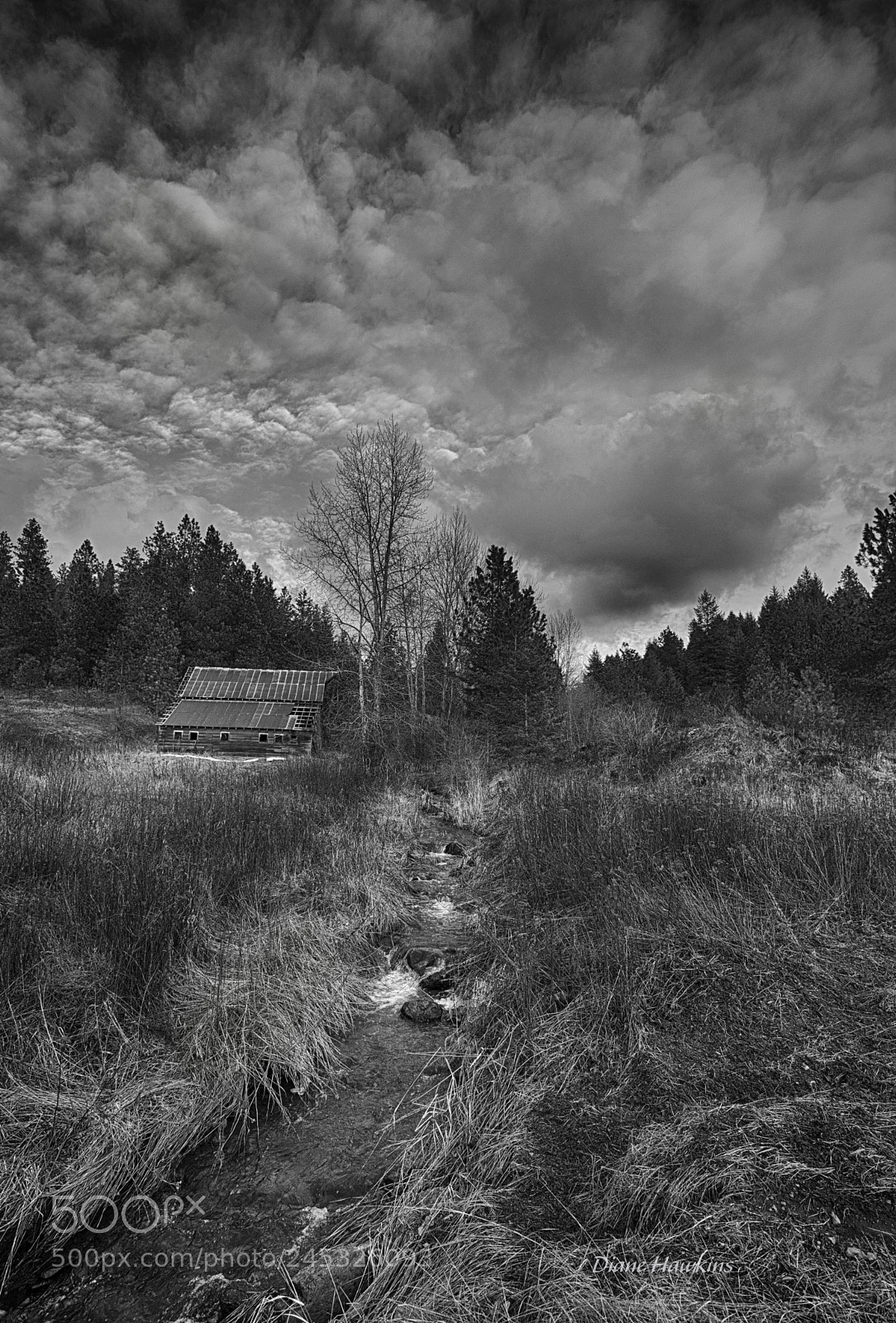 Nikon D3200 sample photo. Barn in the mountains photography