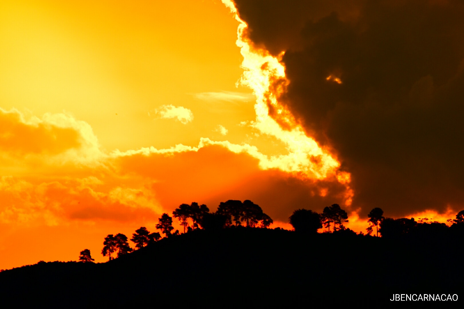 Nikon D5600 sample photo. Golden hour photography
