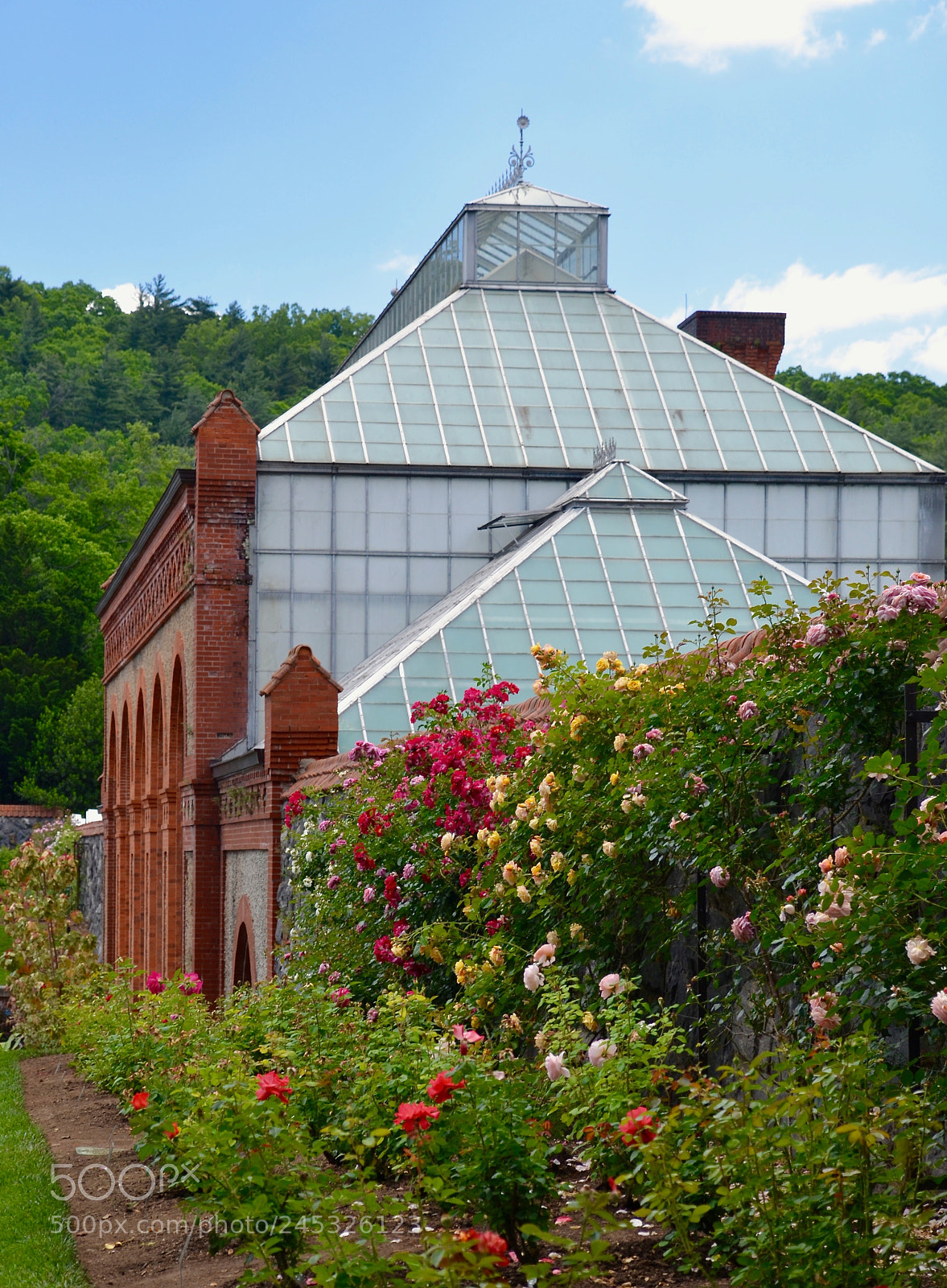 Nikon D5100 sample photo. Climbers at biltmore photography