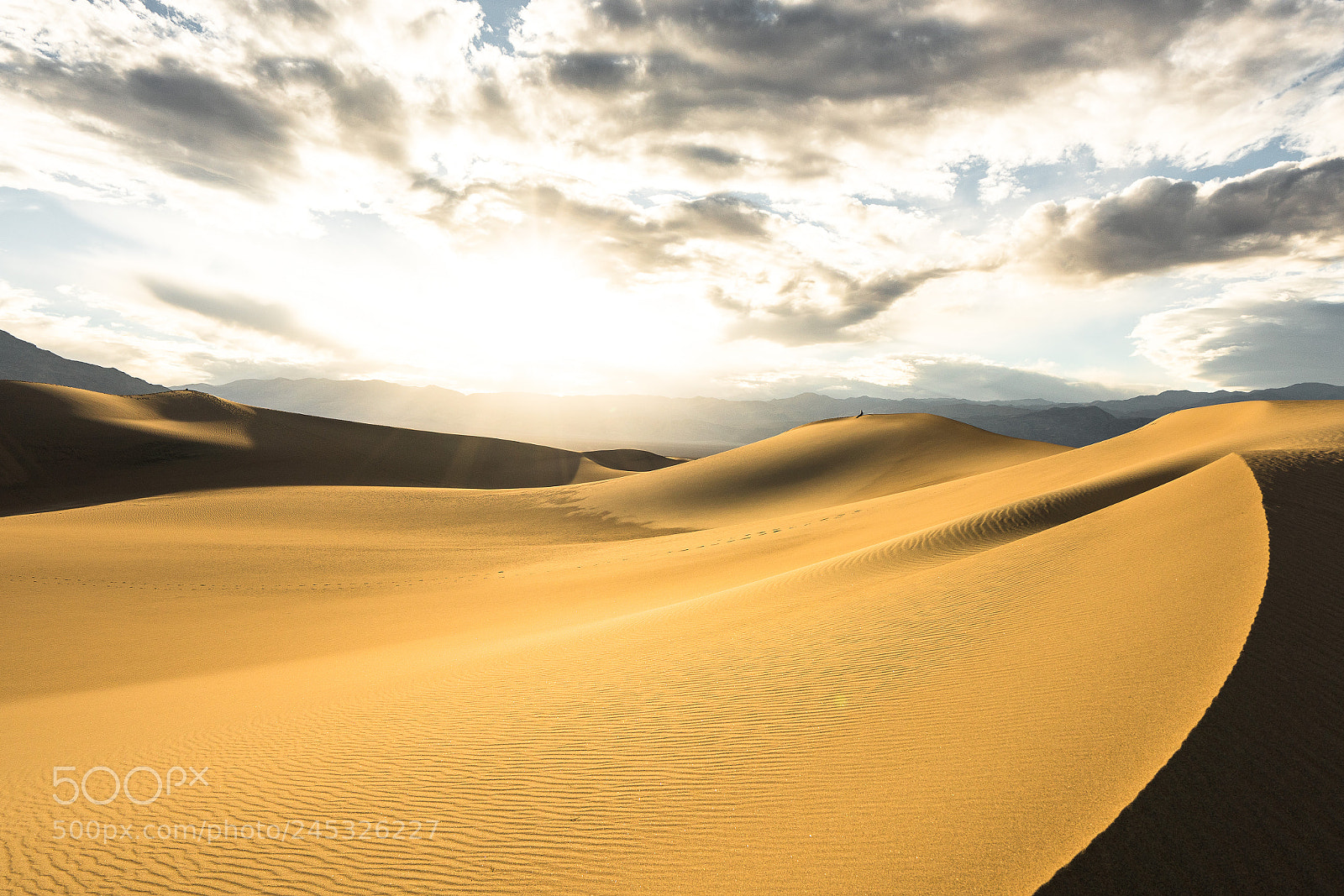 Sony a7R II sample photo. Chillin' in the dunes photography