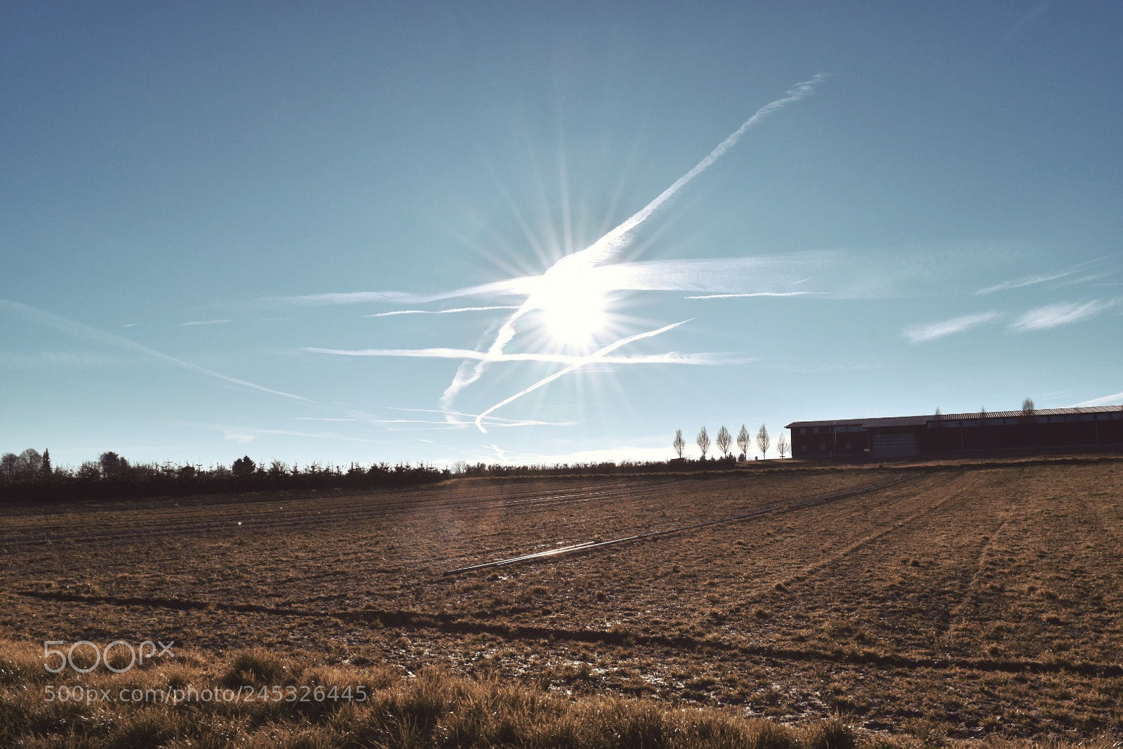Nikon D5500 sample photo. Sun burned countryside photography