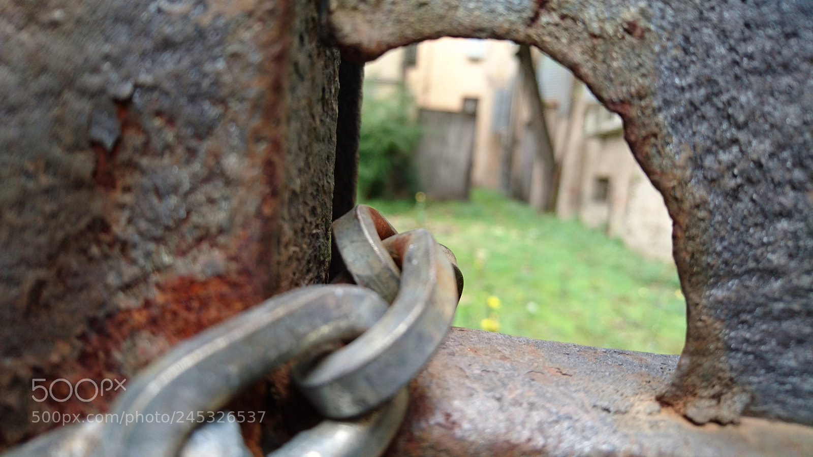 Sony Xperia Z5 sample photo. Untitled photography