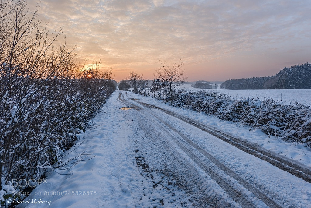 Nikon D810 sample photo. Neige photography