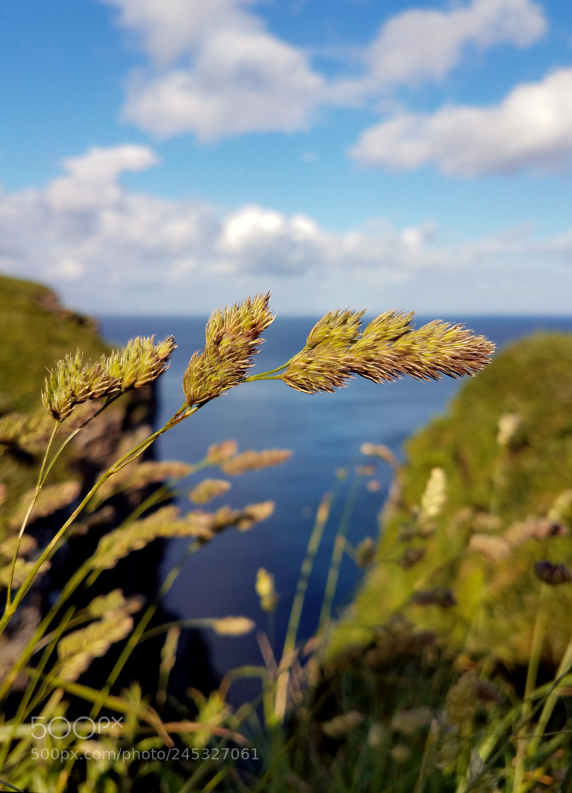 Samsung Galaxy S7 Edge sample photo. Whaligoe photography