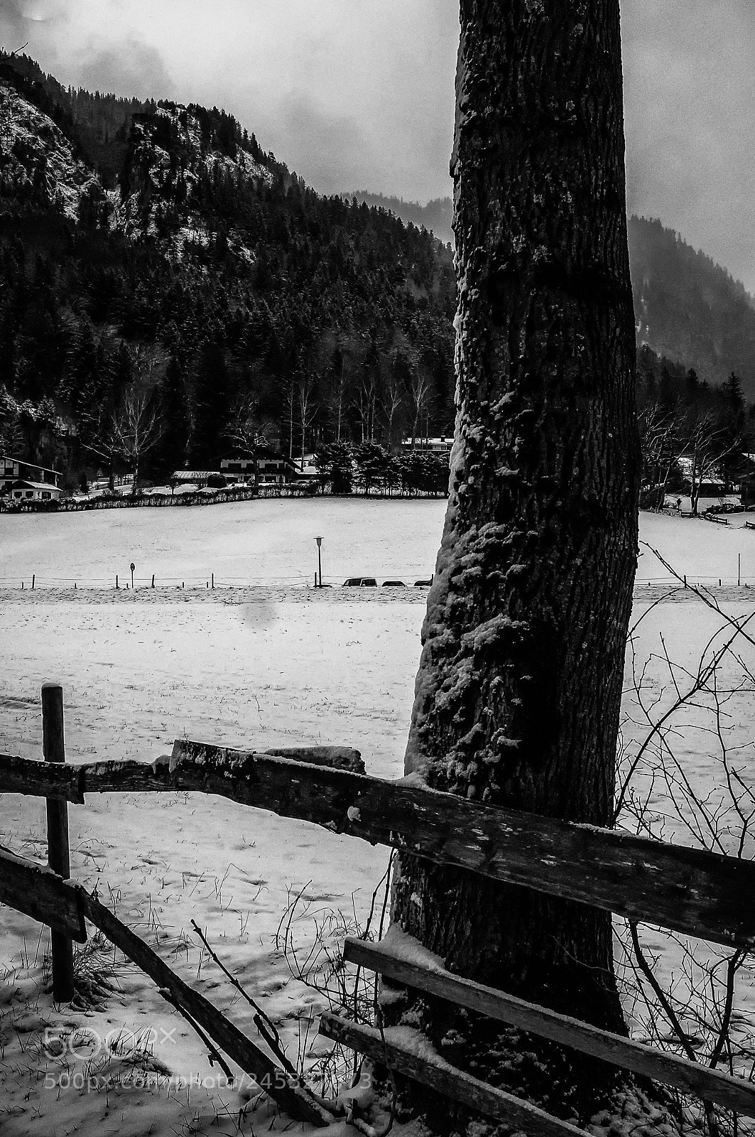 Fujifilm FinePix X100 sample photo. Broken fence photography