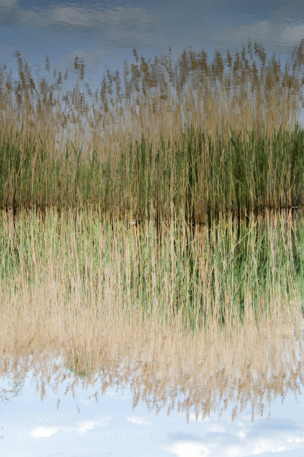 Nikon D100 sample photo. Perspective change photography