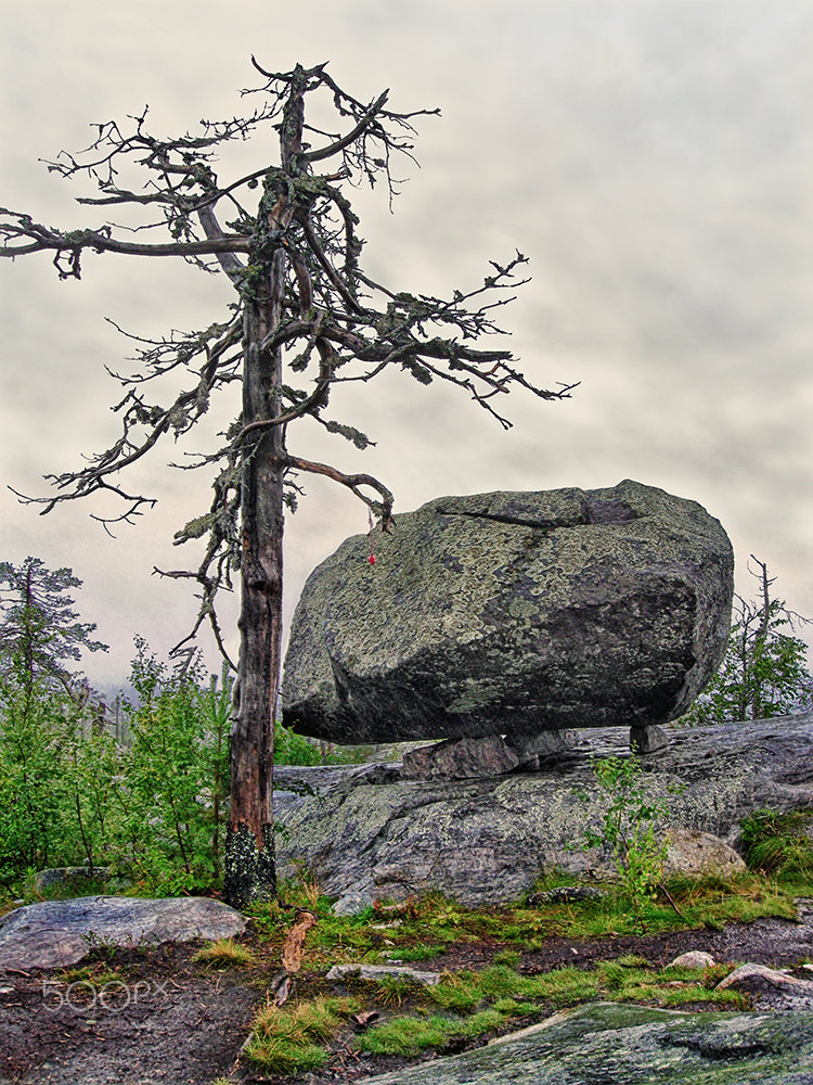 Canon PowerShot A590 IS sample photo. Heart of mount vottovaara photography