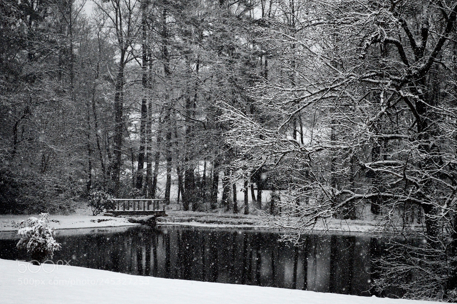 Nikon D3200 sample photo. Snow i photography