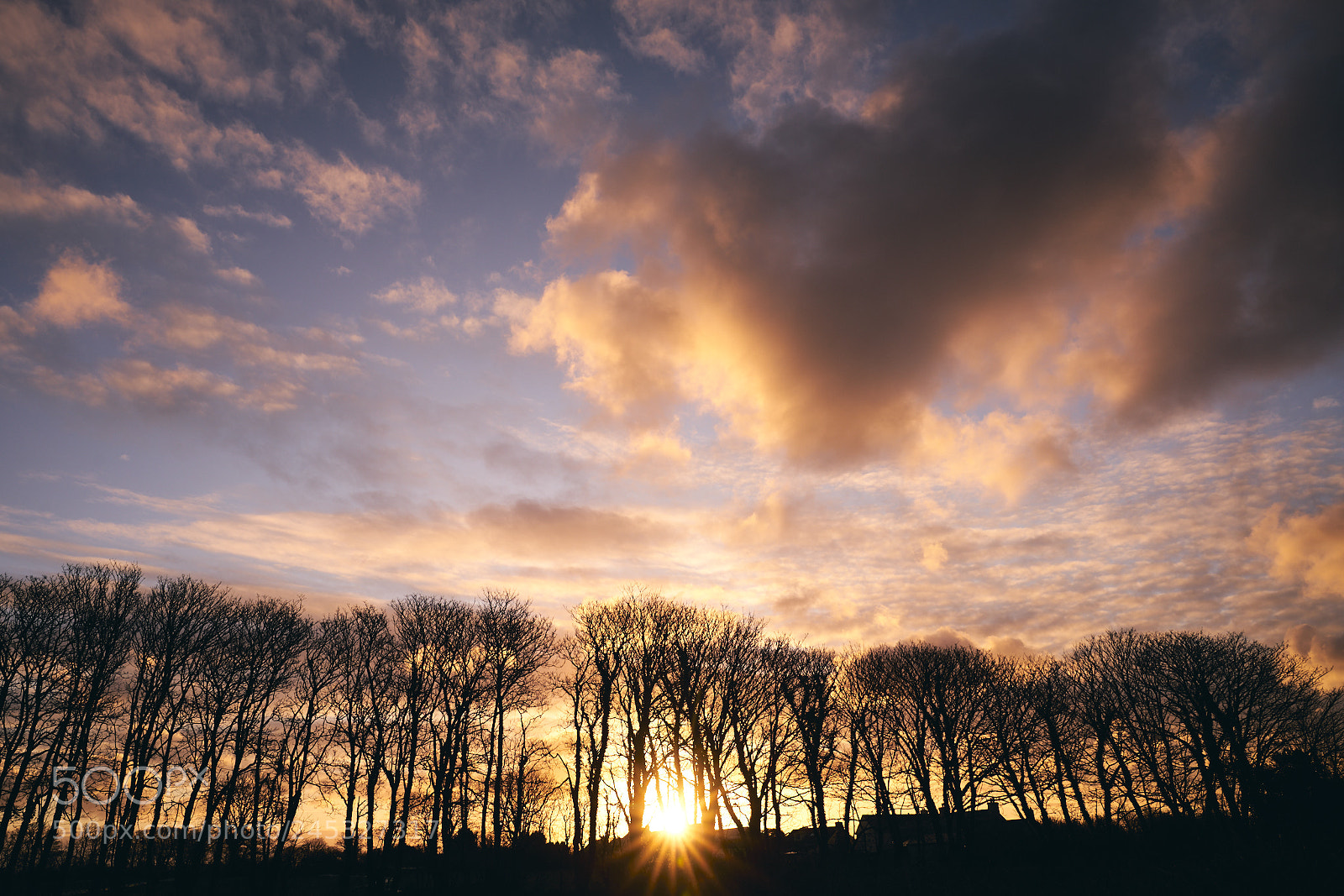 Sony a7R II sample photo. Day thirty eight photography