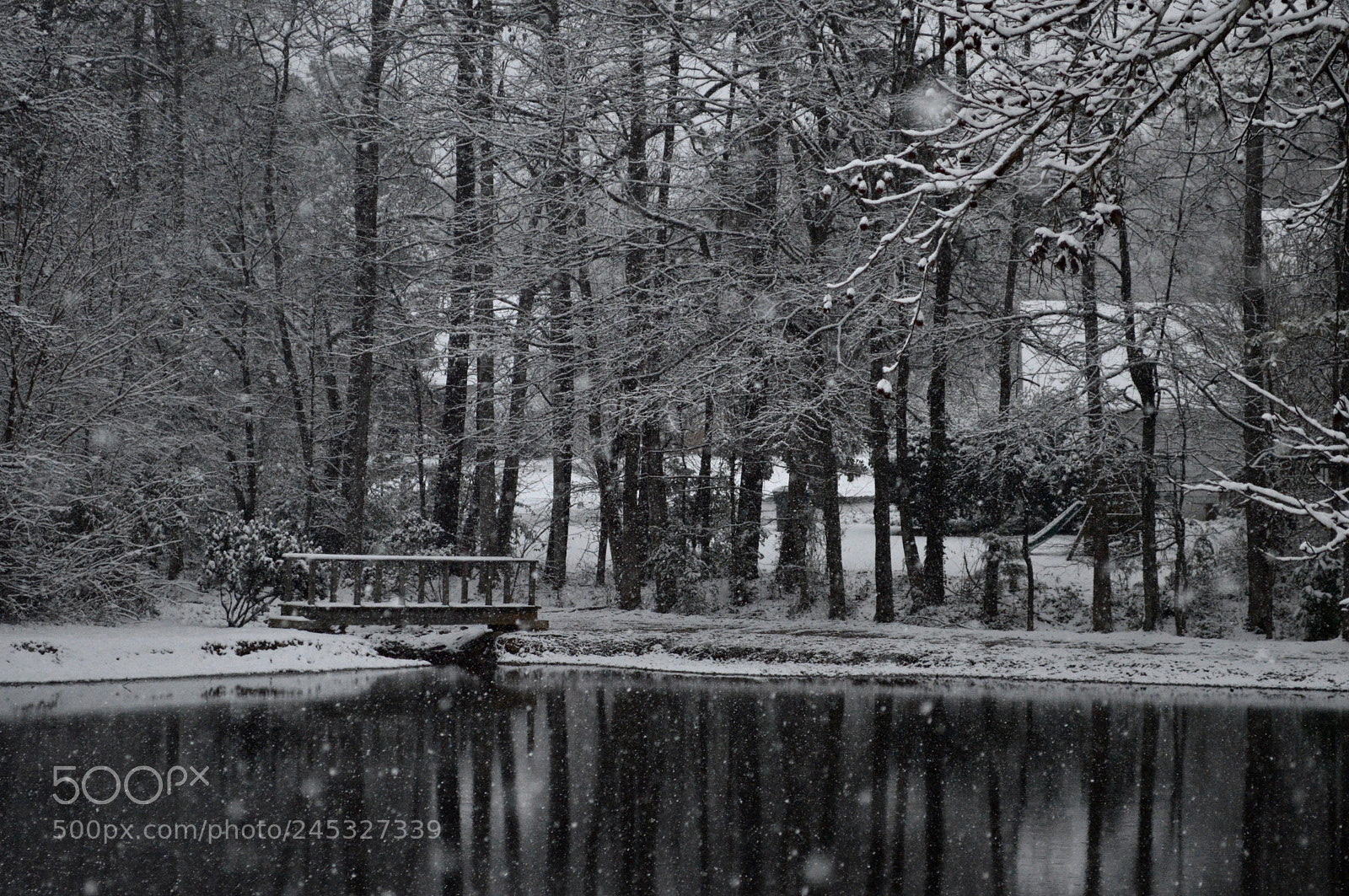 Nikon D3200 sample photo. Snow ii photography