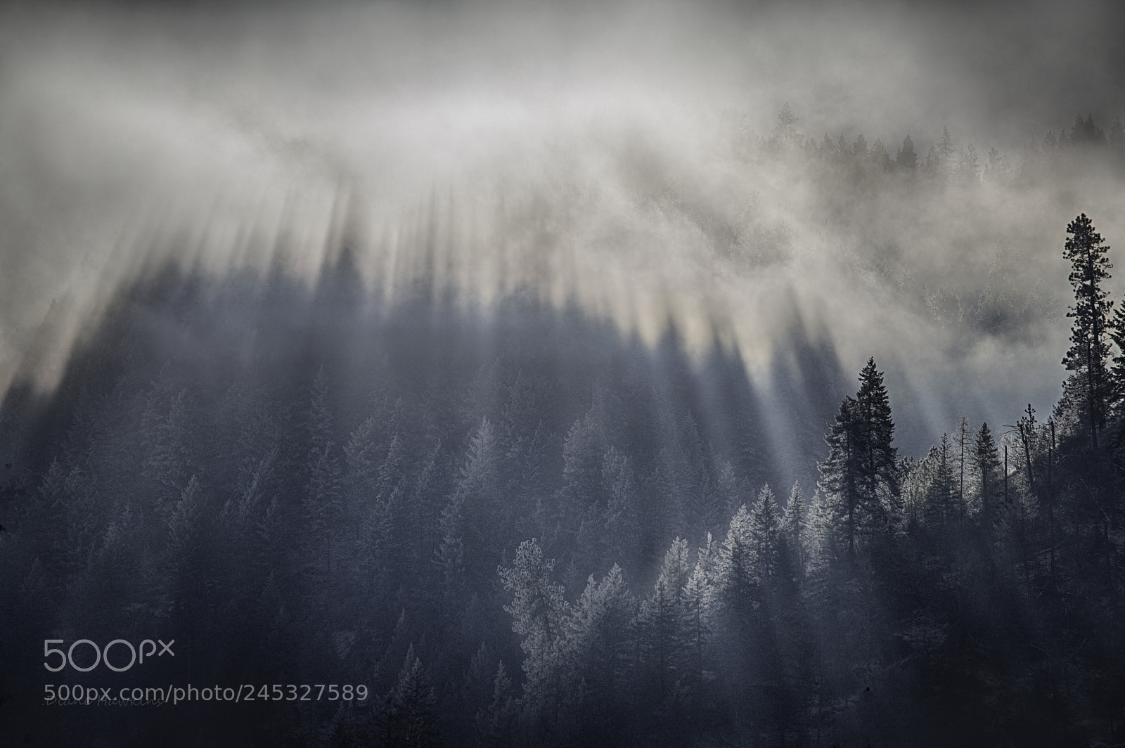 Nikon D3200 sample photo. Foggy sunrise photography
