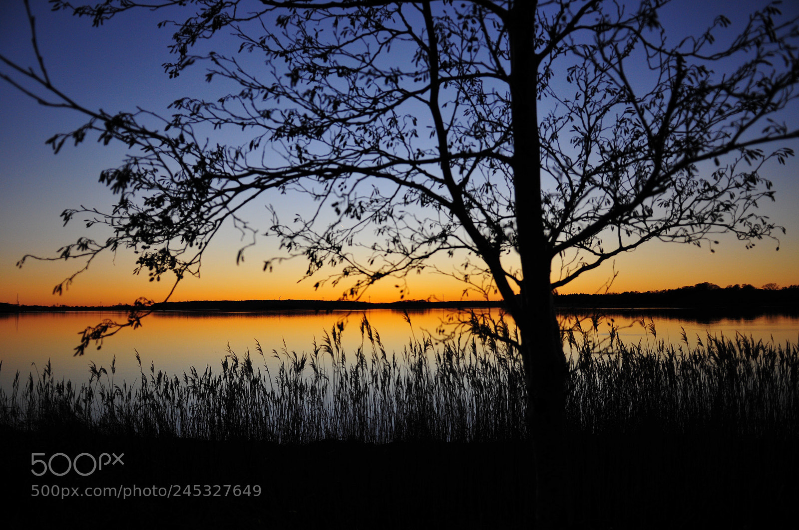 Nikon D300 sample photo. Sunset in north of photography