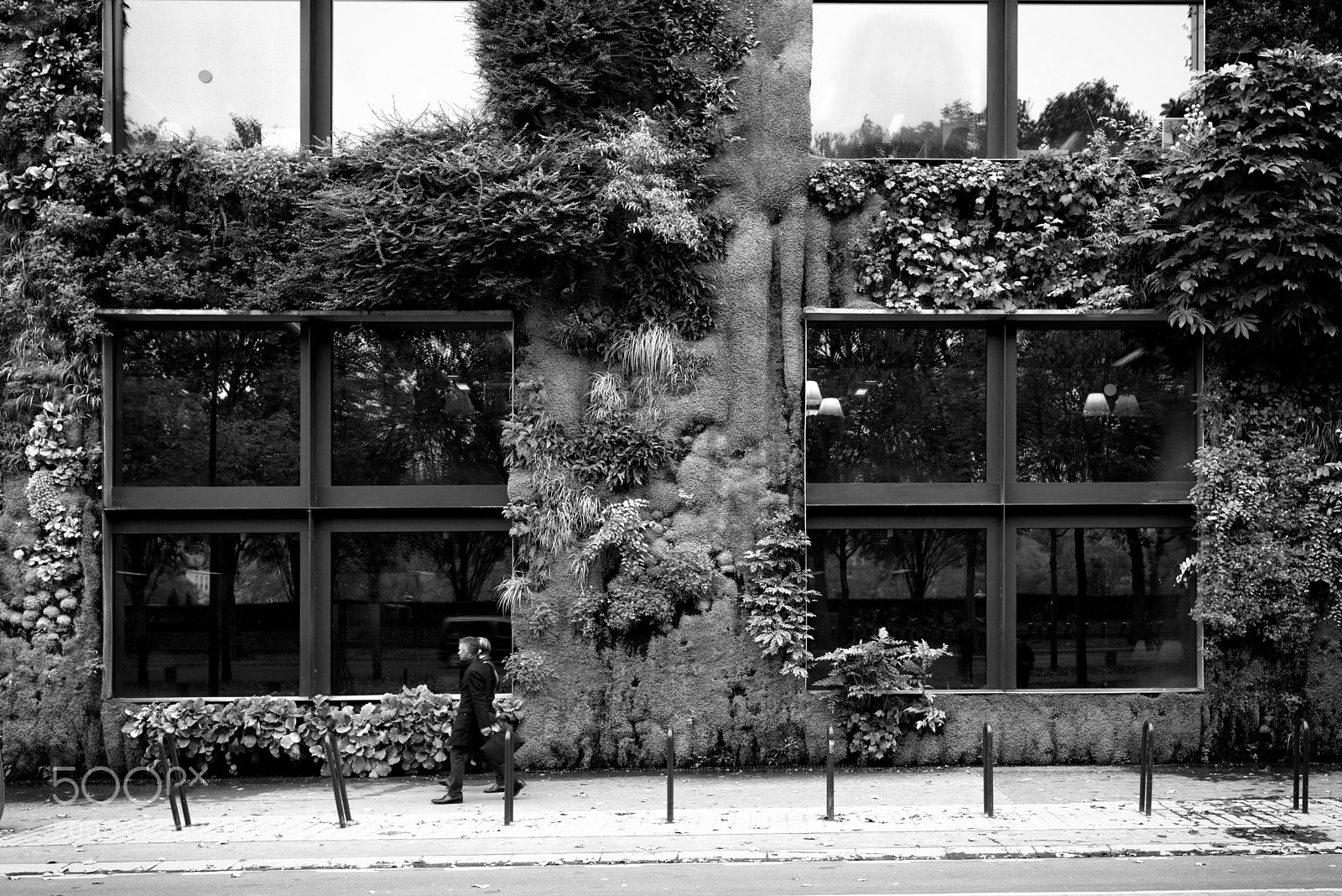 Nikon D800 sample photo. Street at paris photography