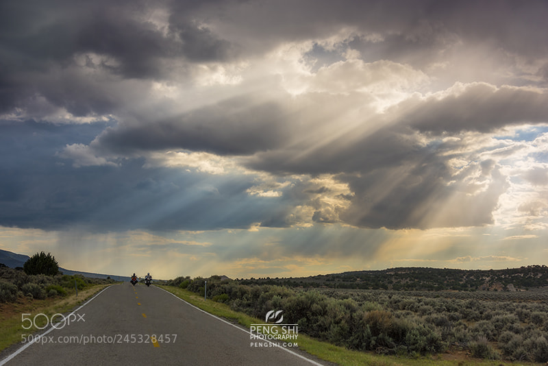 Nikon D810 sample photo. Road to greatness photography