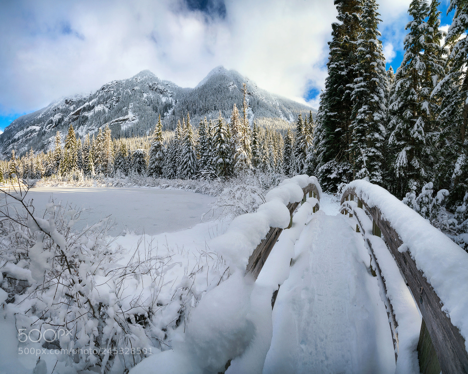 Sony a7R II sample photo. Bridge to winter's wonderland photography