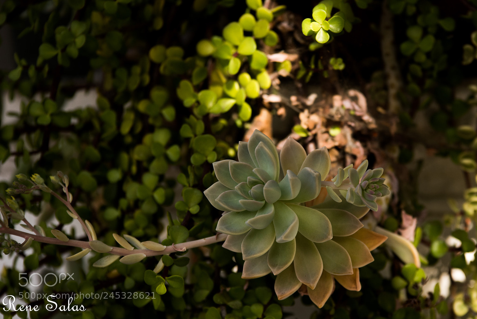 Nikon D810 sample photo. Nice photography