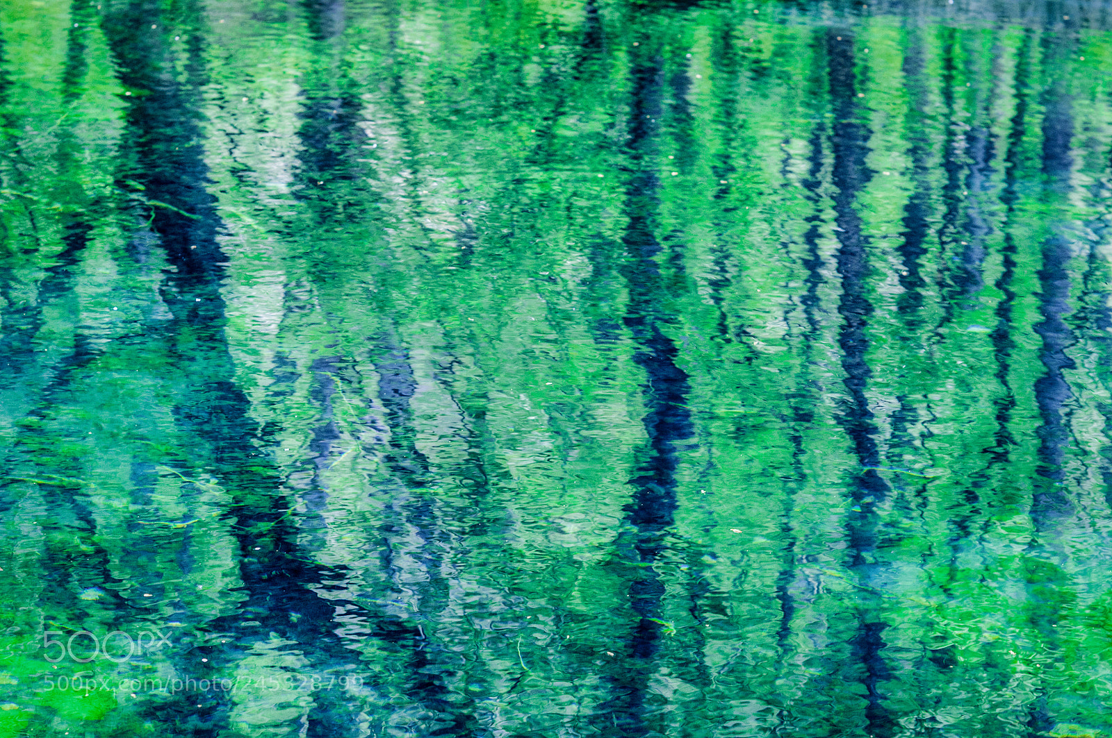 Nikon D300 sample photo. Unexpected reflections photography