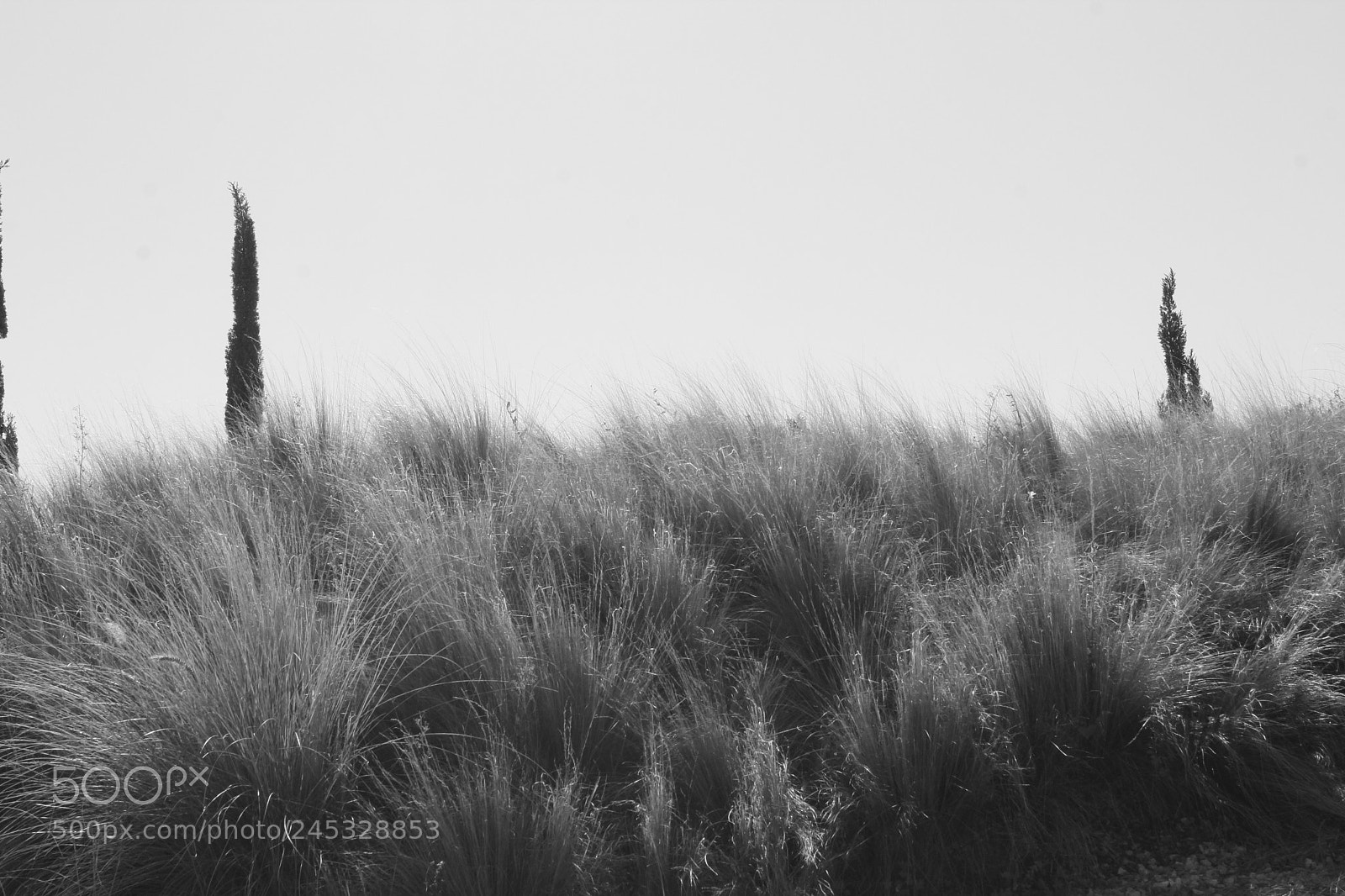 Canon EF-S 18-55mm F3.5-5.6 III sample photo. Desert photography