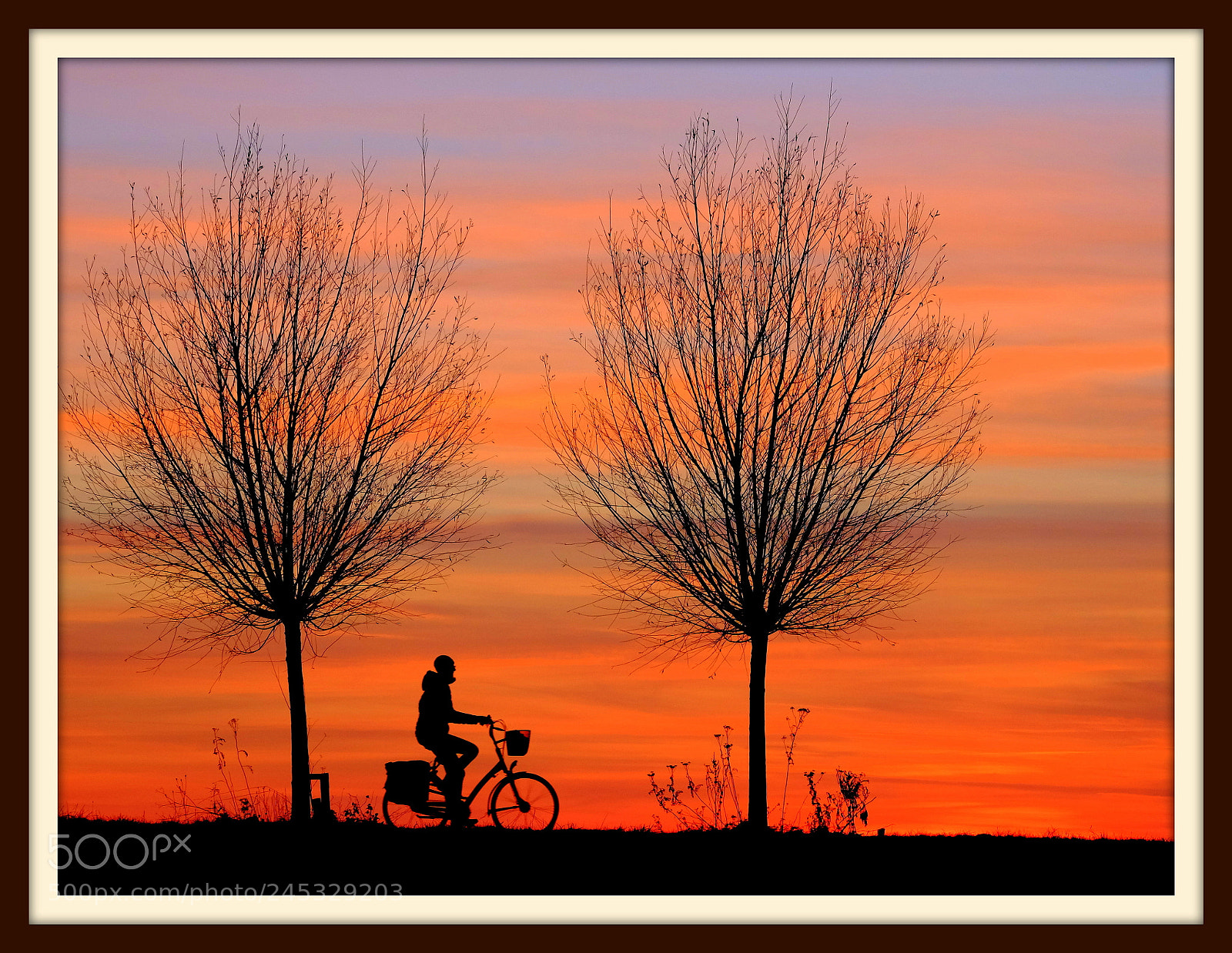 Fujifilm X-T1 sample photo. Lonely biker at sunset photography
