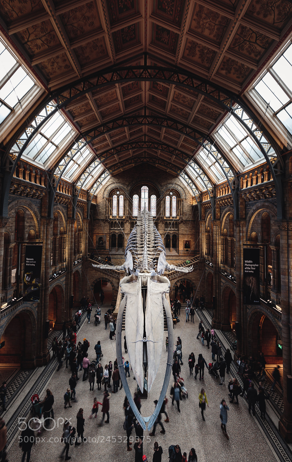Canon EOS 7D Mark II sample photo. Morning at the museum photography