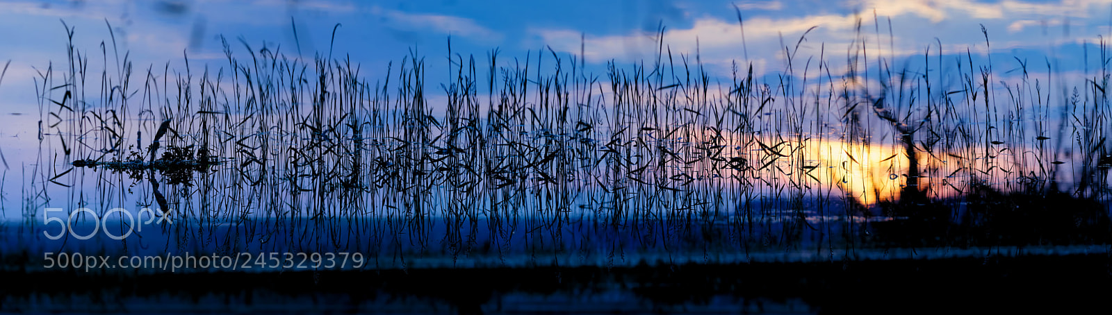Nikon D7100 sample photo. Mirage ... photography