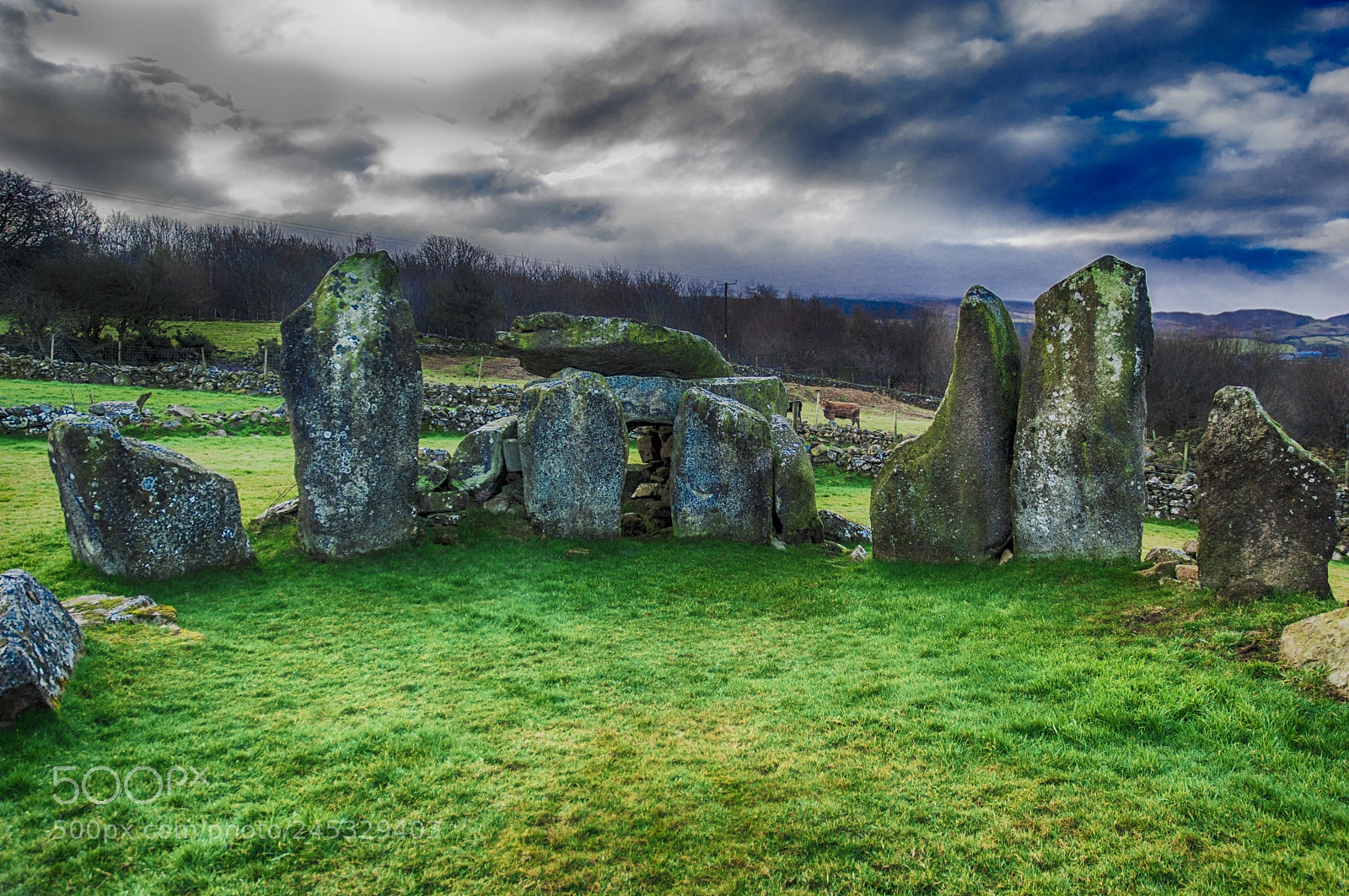 Nikon D3200 sample photo. Clontygora photography