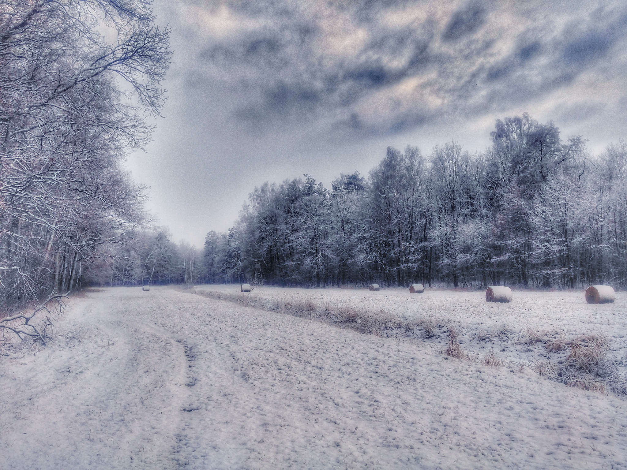 LG V10 sample photo. Snow photography