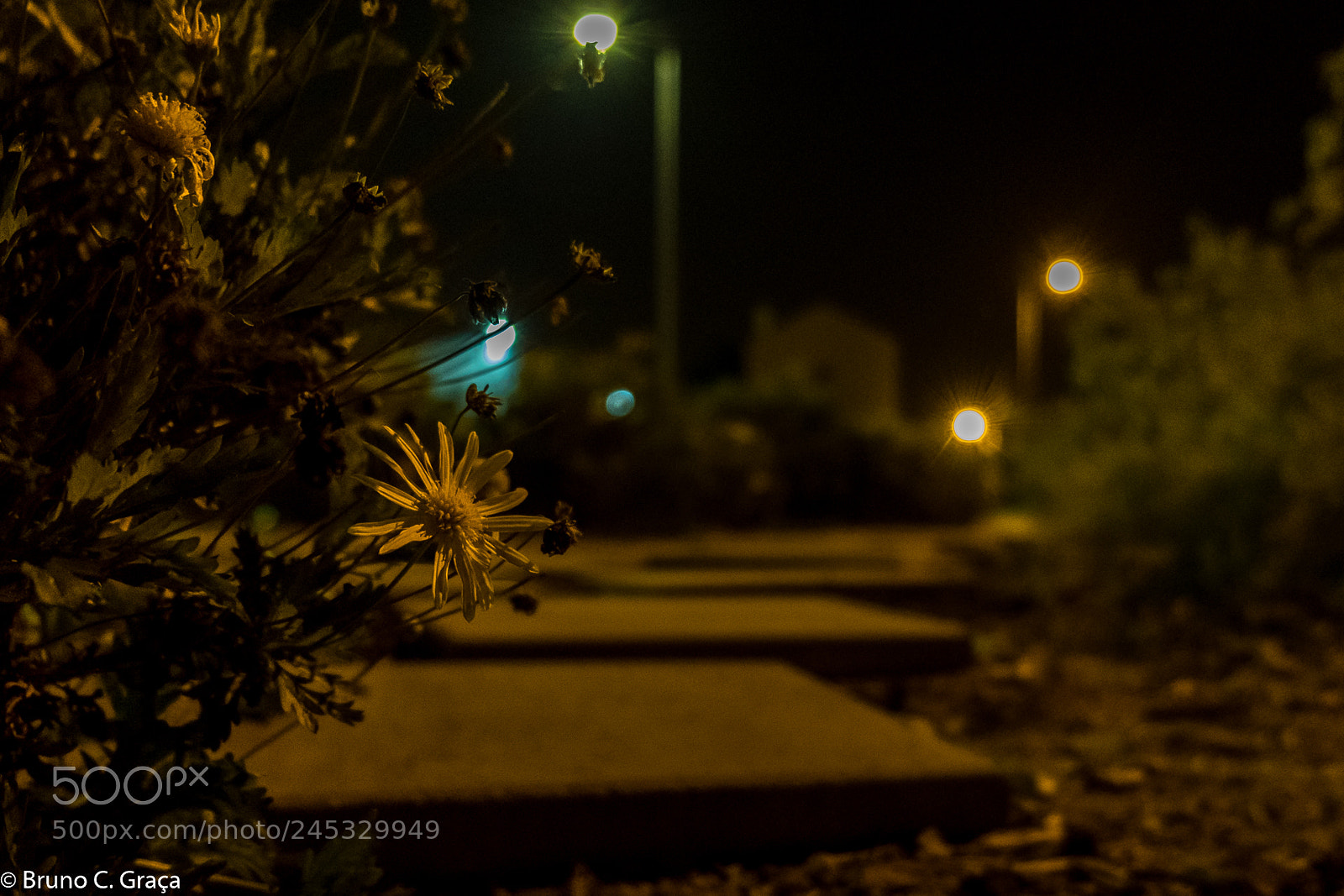Fujifilm X-T20 sample photo. Nightwalk photography