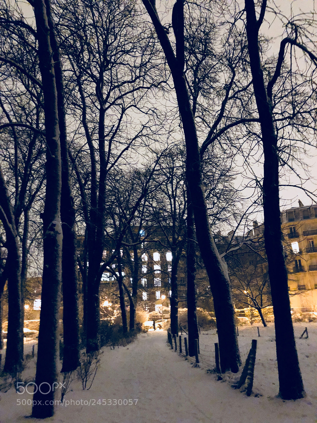 Apple iPhone X sample photo. Snow on paris photography