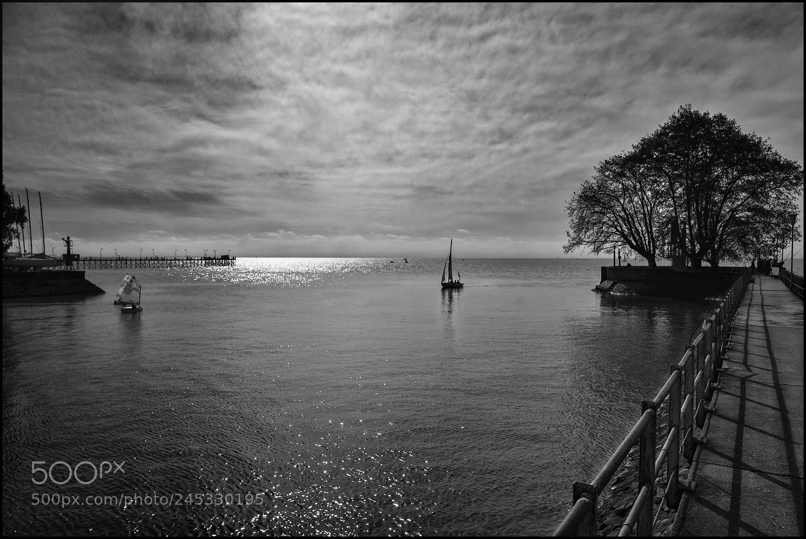 Leica Q (Typ 116) sample photo. Puerto de olivos photography