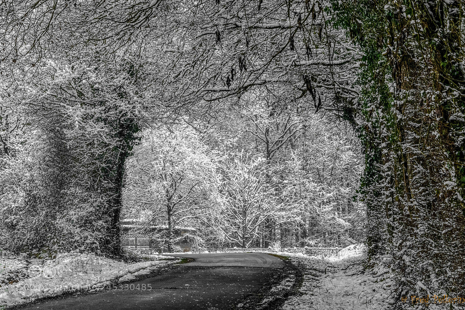 Nikon D850 sample photo. Paysage photography