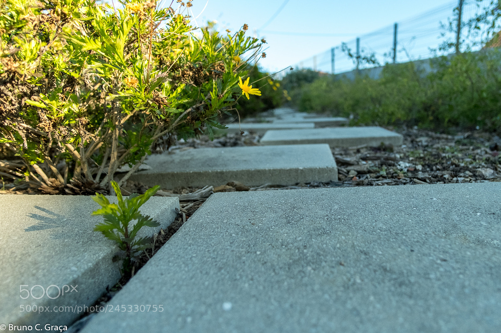 Fujifilm X-T20 sample photo. Nightwalk by day photography
