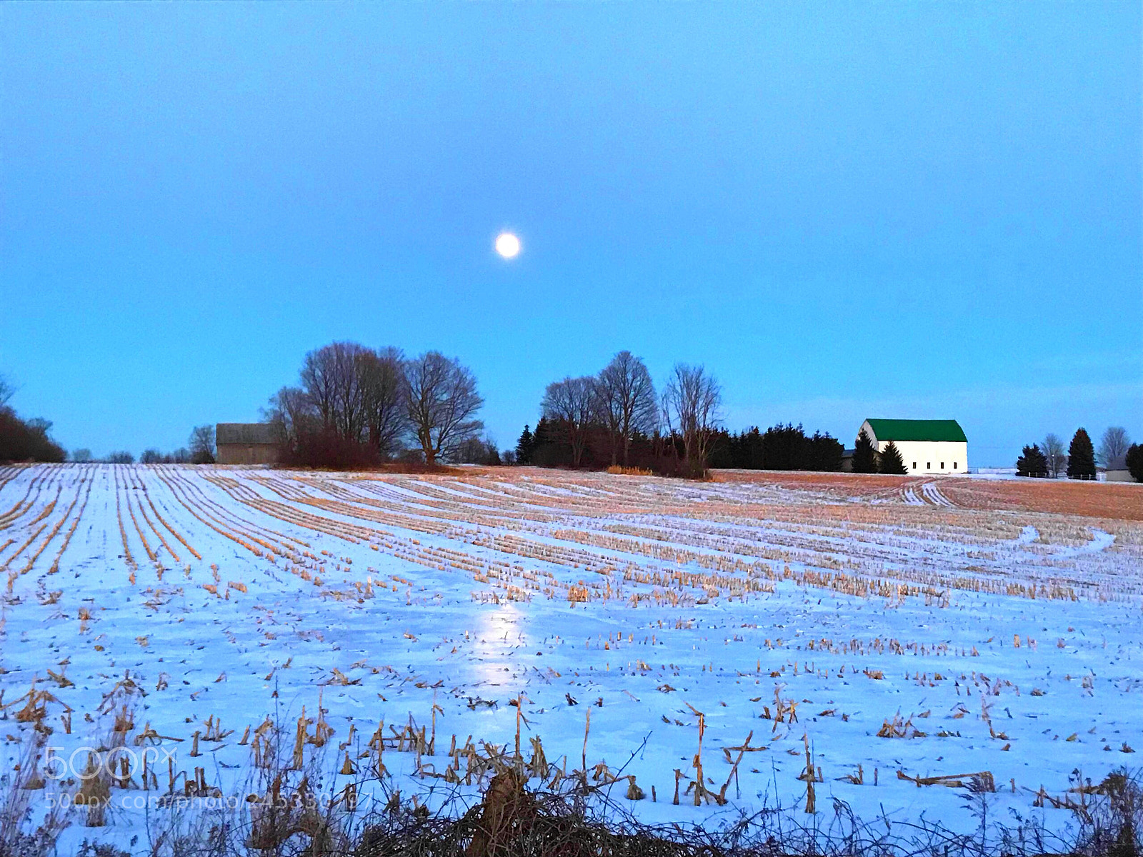 Apple iPhone 7 sample photo. Farm and moon photography