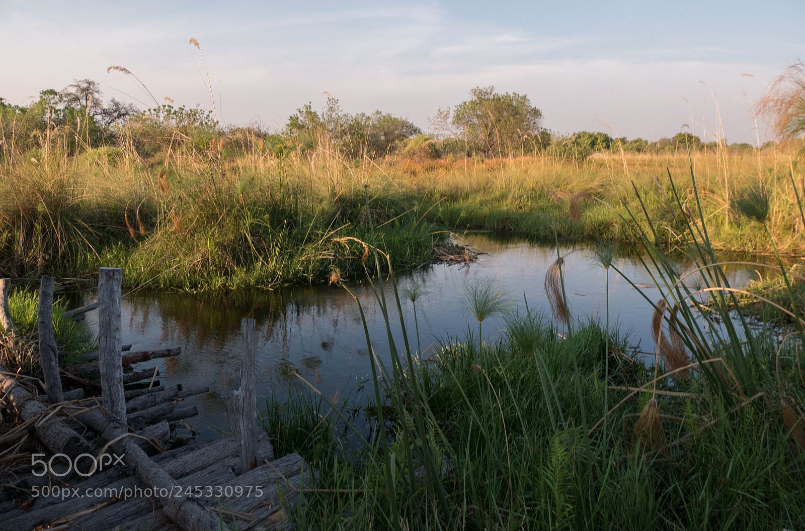 Panasonic DMC-G70 sample photo. Bridge in botswana photography