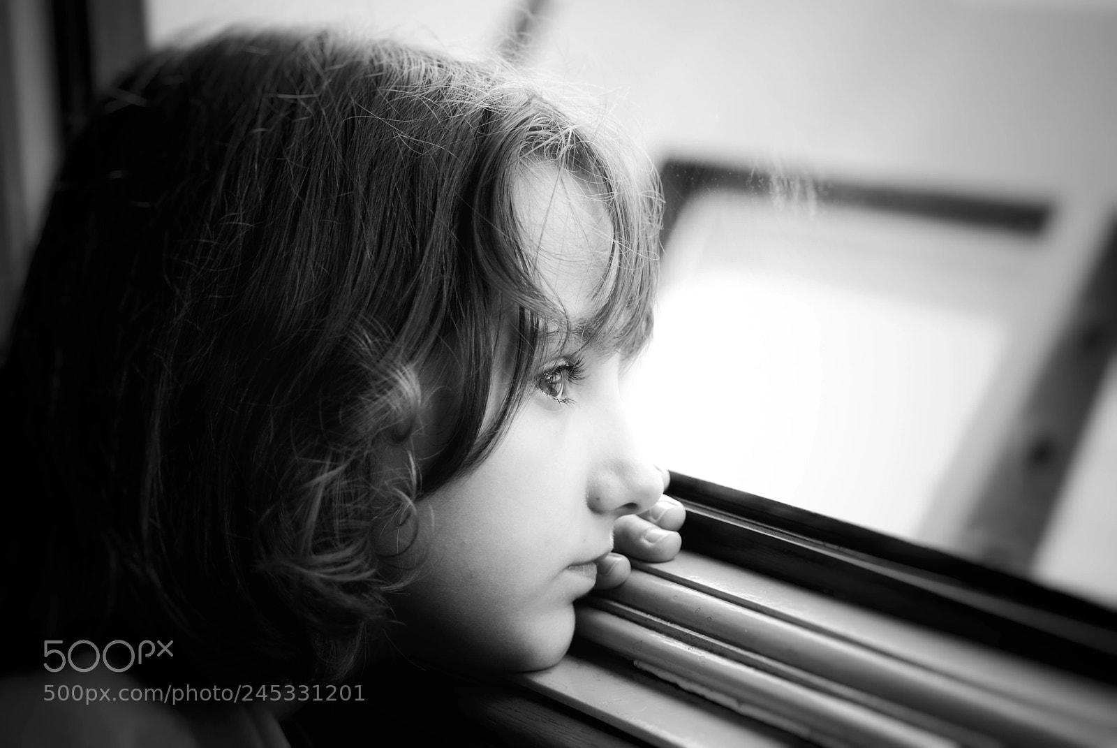 Nikon D60 sample photo. The journey photography