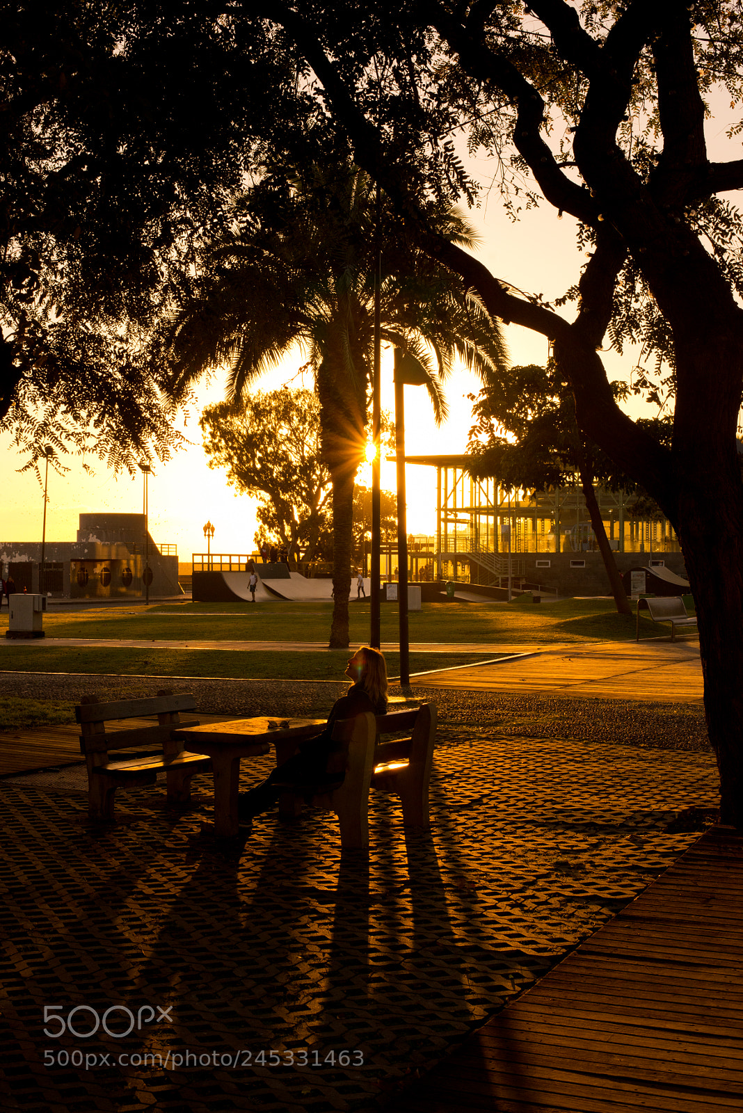 Nikon D800 sample photo. Kbp photography