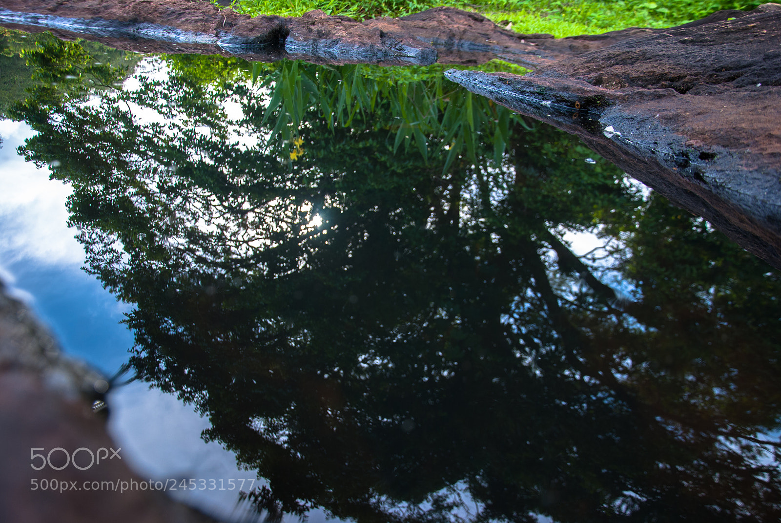 Nikon D80 sample photo. Reflection in water photography