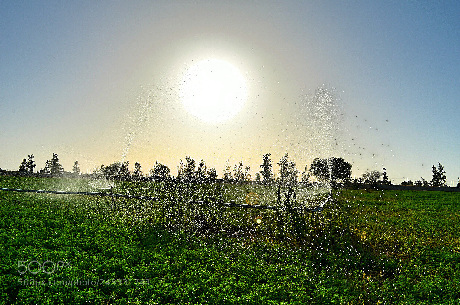 Nikon D5100 sample photo. Tumina photography