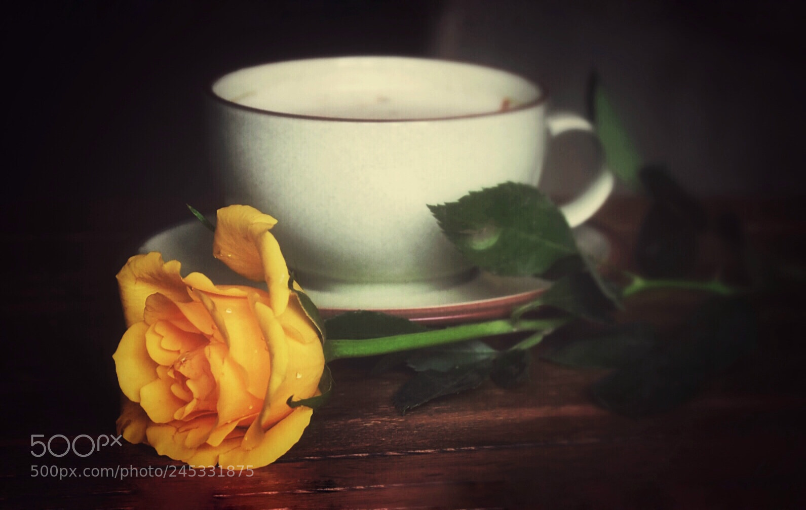 Nikon D5600 sample photo. Morning coffee for one.. photography