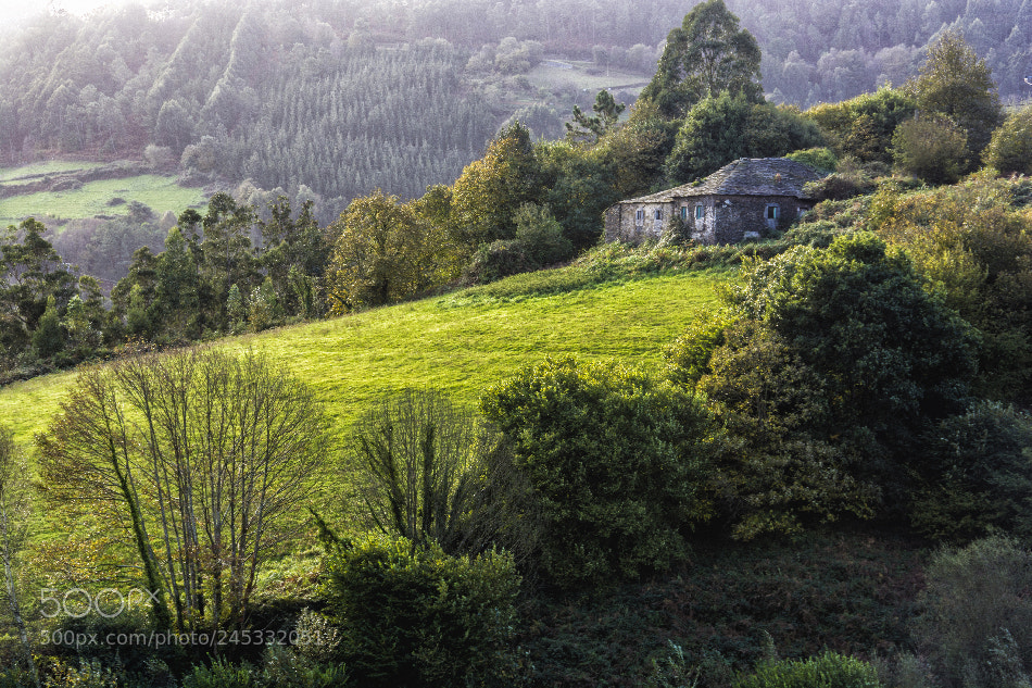 Nikon D7100 sample photo. Sequeiro. photography