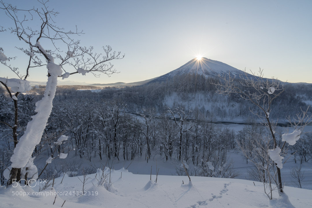 Sony a7 II sample photo. Mt.yotei niseko photography