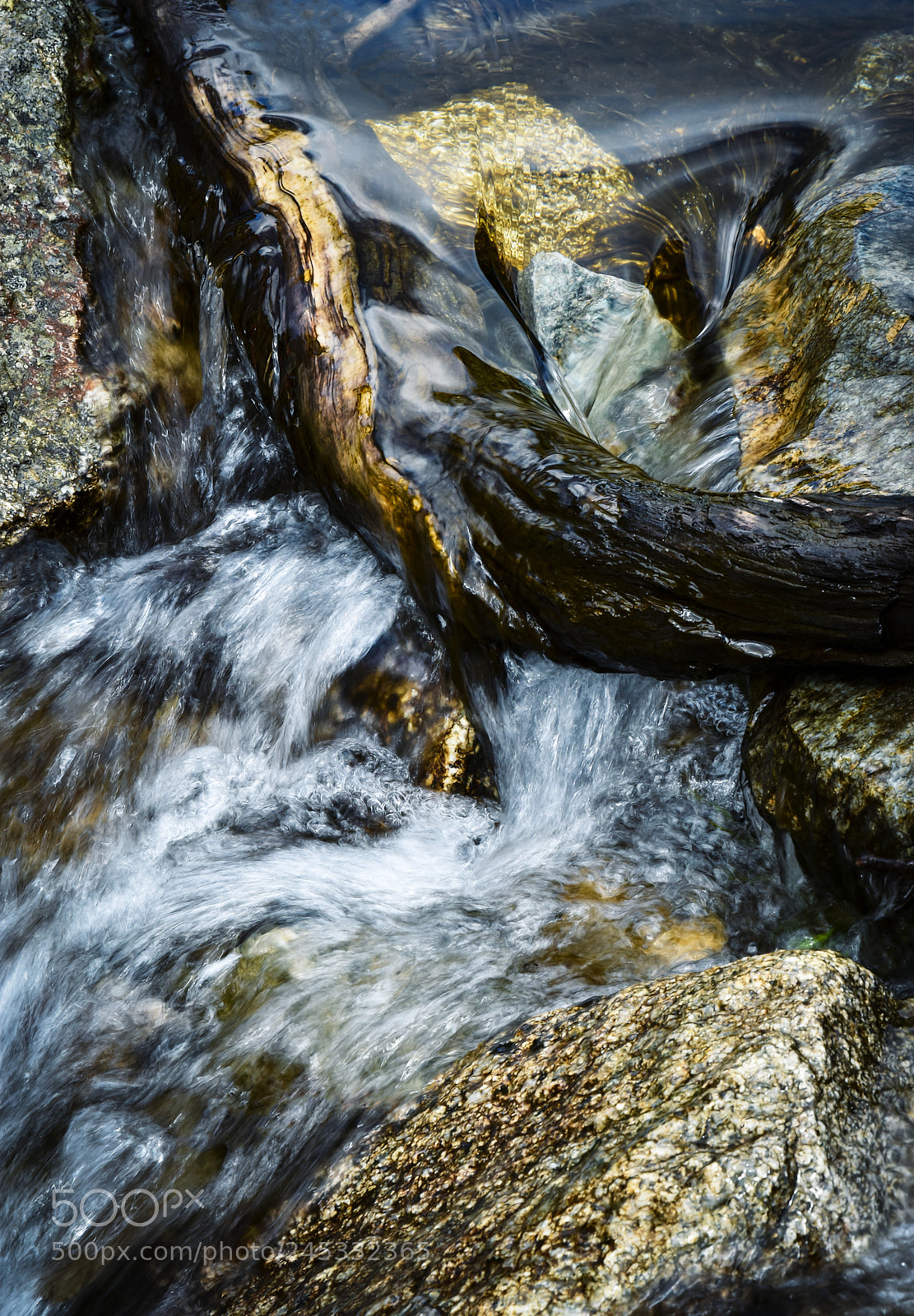 Nikon D5500 sample photo. Wooden branch in steep photography