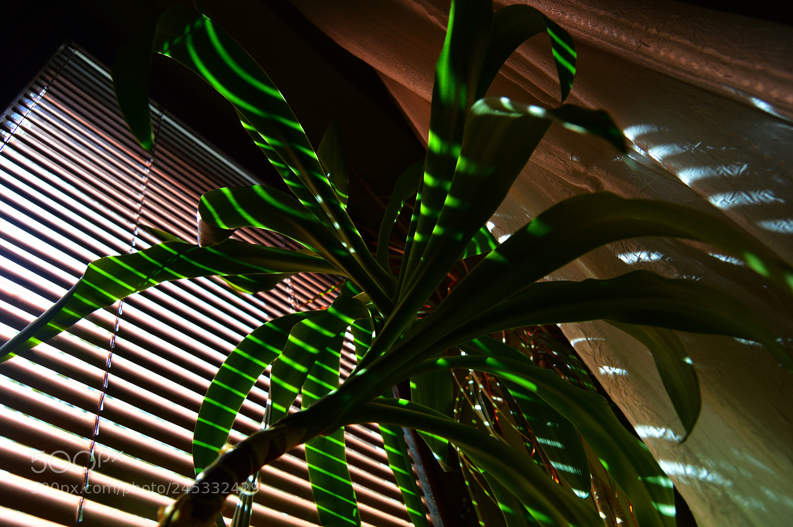 Nikon D3200 sample photo. Below photography