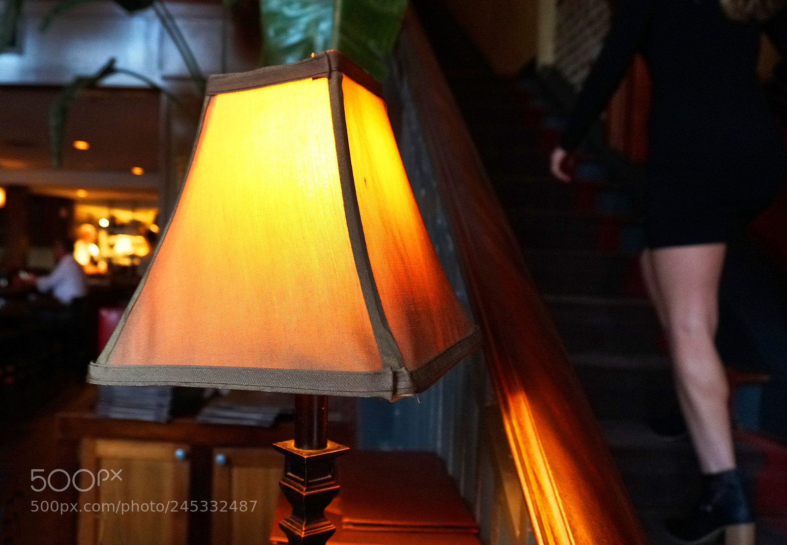 Sony a6500 sample photo. Hostess leads the way photography